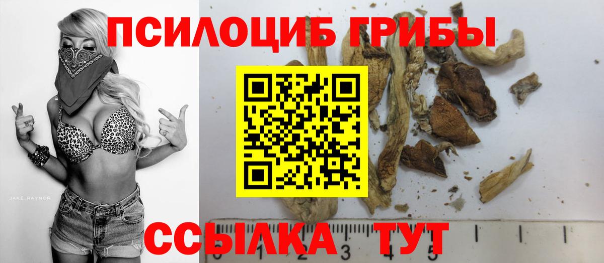 Галлюциногенные грибы ЛСД Майкоп