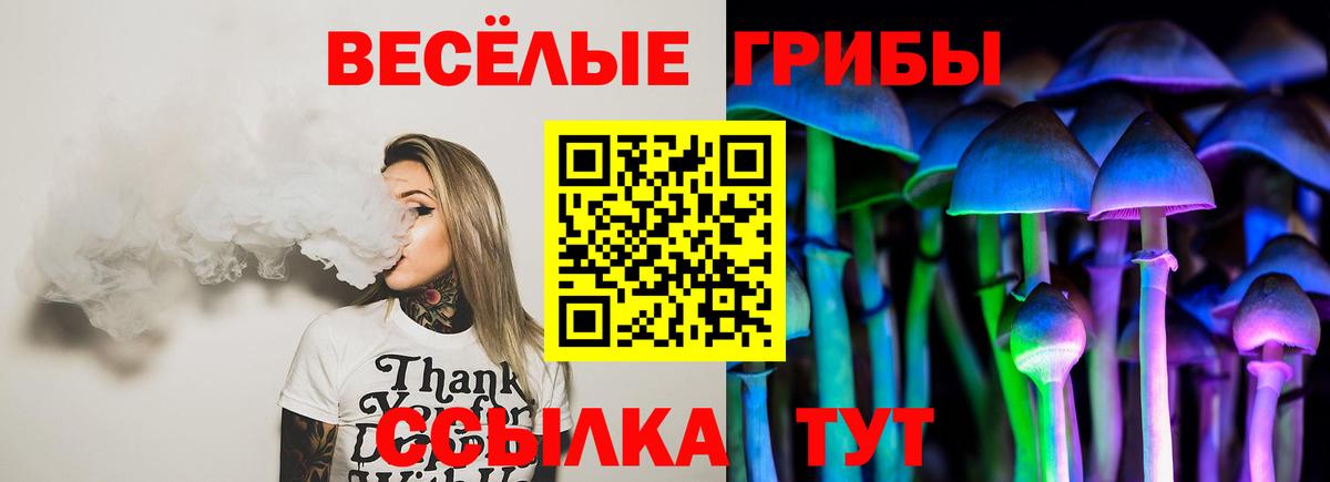 Майкоп  Псилоцибиновые грибы Psilocybe  Галлюциногенные грибы MAGIC MUSHROOMS  Вход с VPN 
